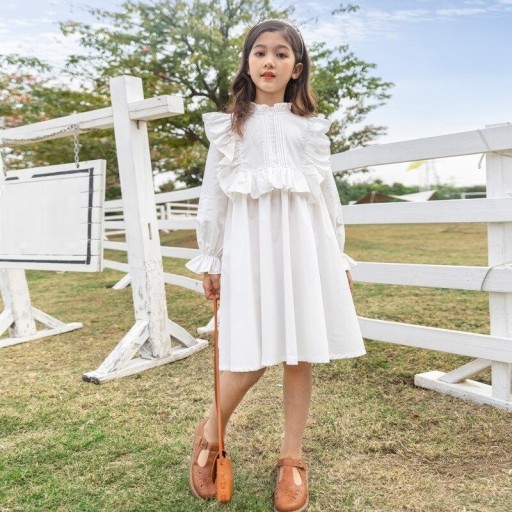 Robes filles à manches longues N117