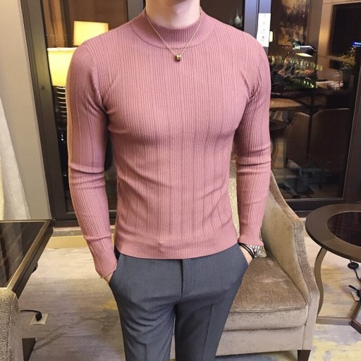 Rollkragenpullover für Herren F256