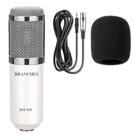 ručný mikrofón