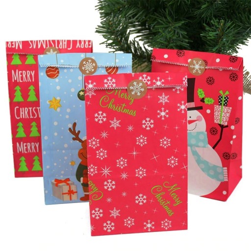 Sacchetti regalo di Natale 10 pz C605