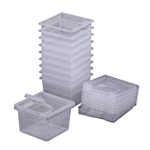 Sada průhledných plastových krabiček na hmyz 10 ks 6,5 x 6,5 x 4,4 cm plast pro chov pozorování a přenos hmyzu