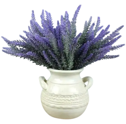 Samen von Wolliger Lavendel Lavandula Lanata Boiss 50 Stk Lila Blüten Aromatische Staude Für Garten Steingarten Und Balkonanzucht Aus Samen