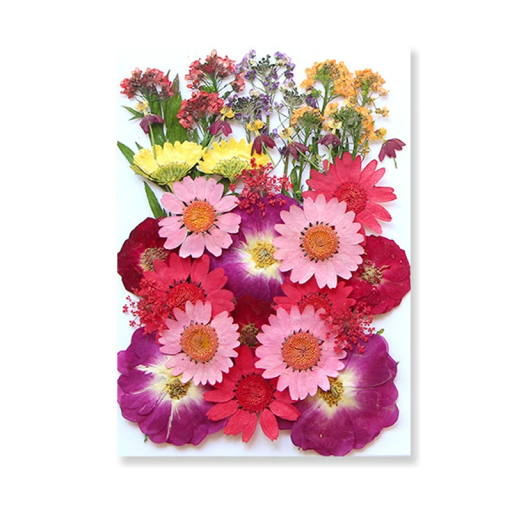 Geperste roze en paarse bloemen in hars Rechthoekige vorm Interieurdecoratie Handgemaakt Origineel cadeau Natuurlijke stijl
