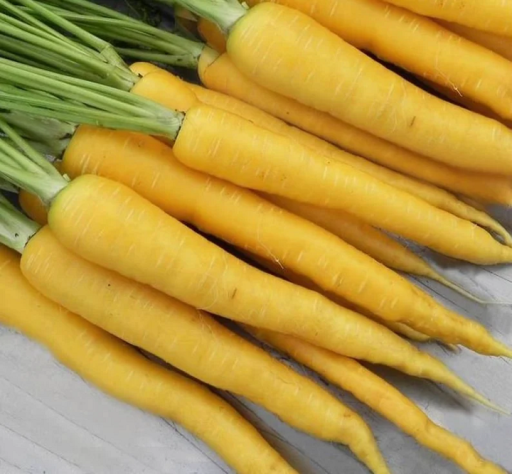Sárgarépa magok Jaune Du Doubs Daucus carota Sárga sárgarépa könnyen termeszthető 4000 db mag