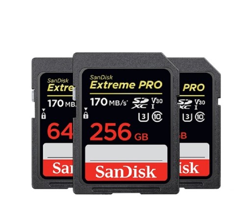 Scheda di memoria SDHC/SDXC