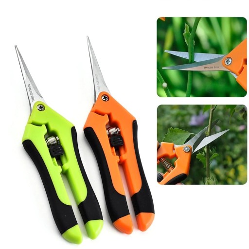Sécateurs de jardin