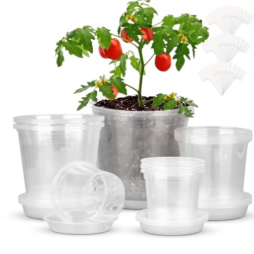 Seedling Pots 72 pcs with Trays and Labels, Transparent, 4 Sizes 8–15.5 cm, Plastic with Drainage Holes, for Indoor and Garden Plants