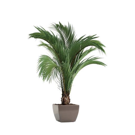 Seinästickeri 49 x 62 cm Trooppinen kasvi PVC Koristeellinen tarra Lehdet Seinäkoriste olohuoneeseen makuuhuoneeseen