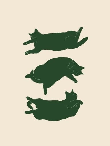 Seinätaulu kolmen makaavan kissan kuvalla 20x30 cm kangas ilman kehystä beige ja tummanvihreä minimalistinen sisustuselementti