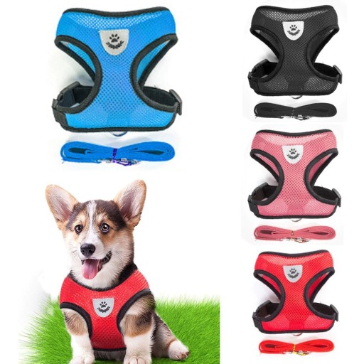 Sele til katte og små hunde