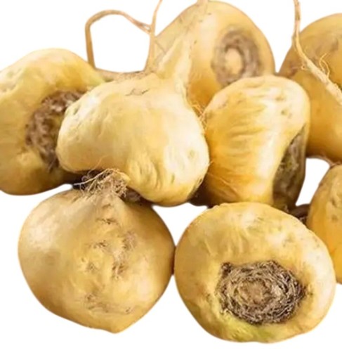 Semena Lepidium Meyenii Maca Řeřicha Peruánska 100 ks Žlté Hlízy Užitková Rastlina Pre Záhradu I Kvetináč Pestovanie Zo Semien