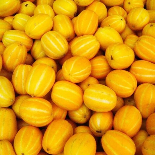 Semienka Cucumis melo Agrestis 10 ks kórejský melón chamoe so žltými oválnymi plodmi na pestovanie na záhrade a vo fóliovníku