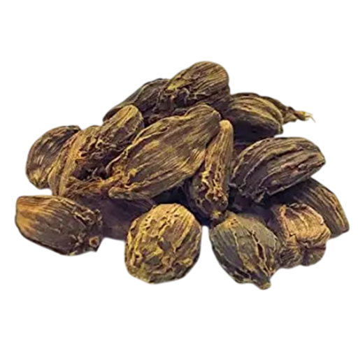 Semienka kardamomu čierneho Amomum subulatum Black Cardamom, 5 ks, tropické korenie s aromatickými tobolkami pre skleník