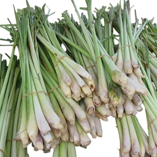 Semienka voňatky citrónovej Cymbopogon citratus 20 ks zelená aromatická tráva s citrónovou vôňou na pestovanie v kuchyni a záhrade