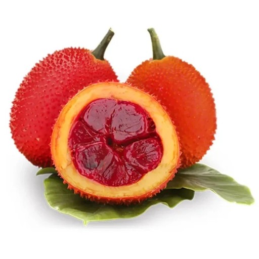 Seminaren von Gac Momordica cochinchinensis 3 Stück Kletterpflanze mit stacheligen rot-orangefarbenen Früchten und leuchtend rotem Fruchtfleisch