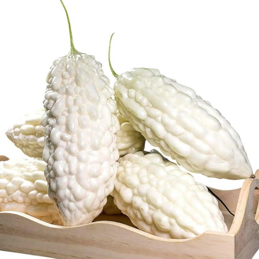 Semínka hořké okurky Momordica charantia White 10 ks Popínavá zelenina s bílými hrbolatými plody Na pergoly opory i do skleníku