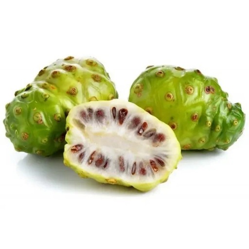 Semínka noni Morinda citrifolia 5 ks Tradiční superovoce Pacifiku se zelenými hrbolatými plody Pro pěstování ve skleníku i nádobě