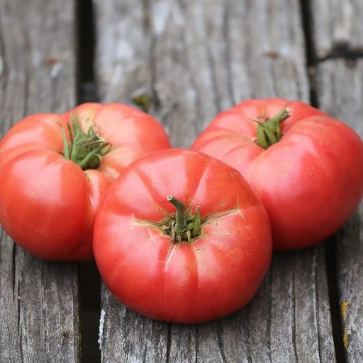 Semínka rajčete Solanum lycopersicum Oma's Pink 5 ks Odrůda s velkými růžovými masitými plody Na záhon i do skleníku a truhlíku