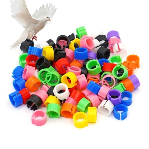 Set de 100 de bucăți de inele colorate pentru picioare de păsări de 8 mm. Cleme din plastic pentru a suna porumbei, papagali și păsări de curte Etichete de identificare a păsărilor