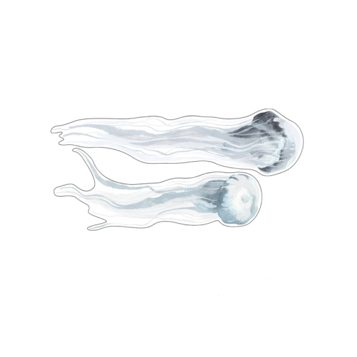 Set decoratieve stickers met medusen 60 x 30 cm PVC wandstickers zee-thema voor badkamer kinderkamer