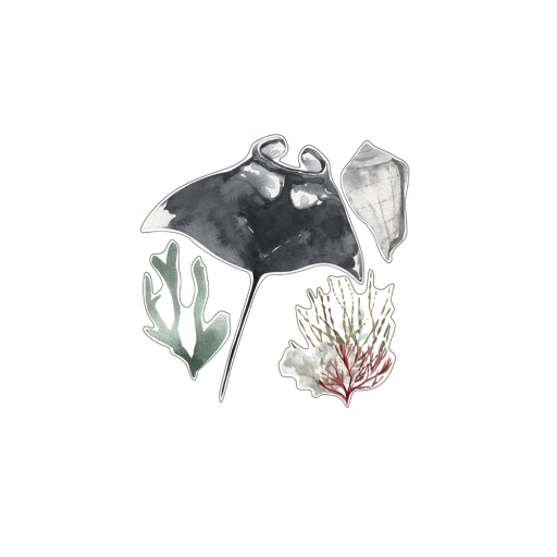 Set decoratieve stickers met onderwaterthema 50 x 50 cm PVC wandstickers maritiem ontwerp voor badkamer en kamer