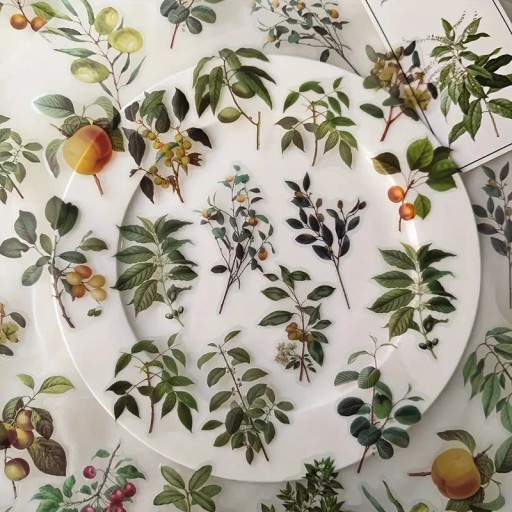 Set of 40 Stickers with Fruit and Plant Motifs on Transparent Plastic Stickers for Creative Projects