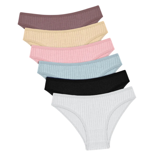 Set of 6 Women's Classic Cut Briefs with Striped Pattern Breathable Underwear in Light Colours