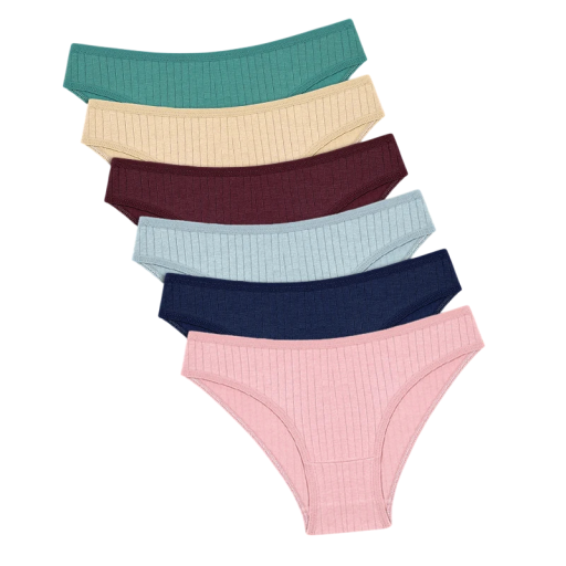 Set of 6 Women's Classic Cut Briefs with Striped Pattern Breathable Underwear