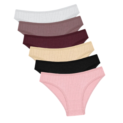 Set of 6 Women's Classic Cut Knickers with Striped Pattern Breathable Underwear in Warm Colours