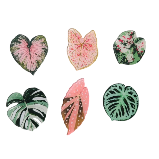 Set van 6 stuks magneten bladeren planten roze-groene decoratieve magneten voor de koelkast prikbord bevestiging van notities en foto's