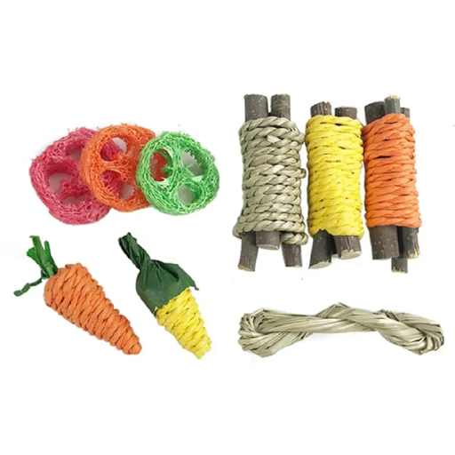 Set van 9 natuurlijke knaagspelletjes voor knaagdieren Houten speelgoed voor konijnen, cavia's, chinchilla's Kooiaccessoires voor knaagdieren