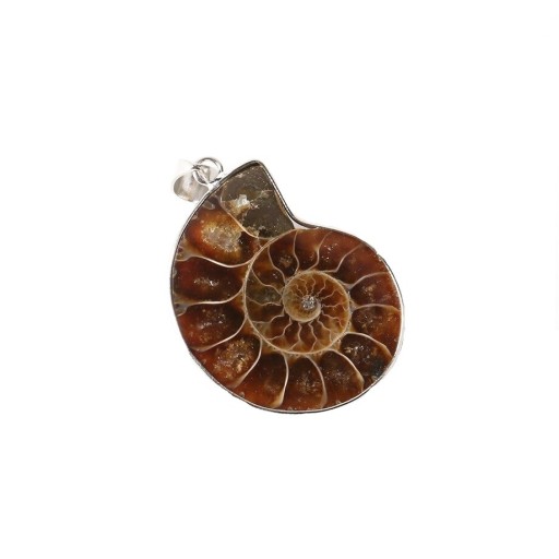 Shell Pendant