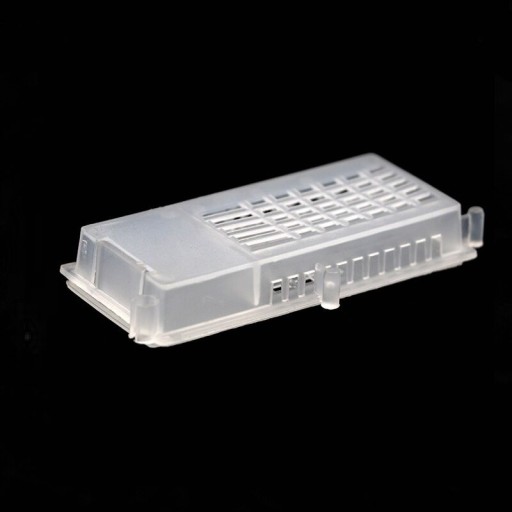 Shipping and Adding Cage for Queen Bees 15 pcs