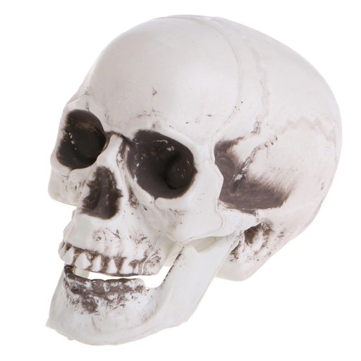 Skull Figurine