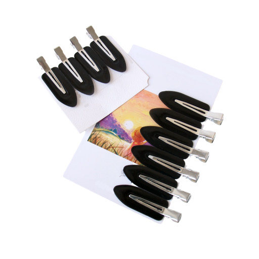 Spons pour cheveux 10 pcs