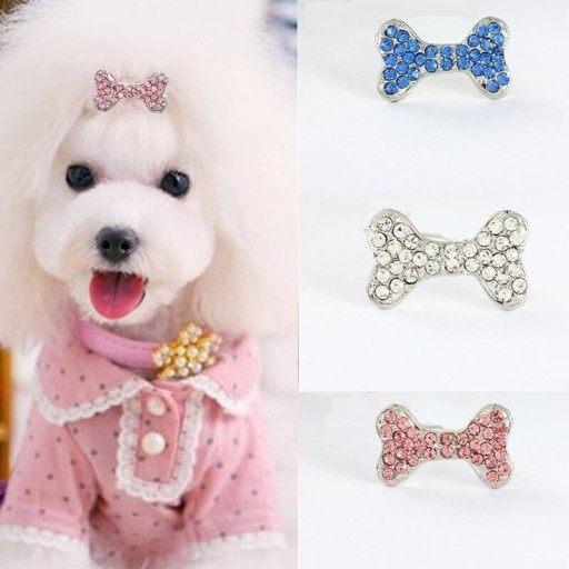 Sponte pour petits chiens avec des pierres