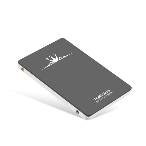 SSD-kiintolevy K2339