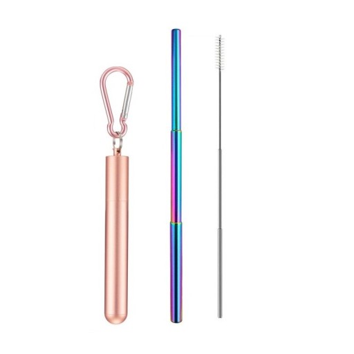 Stainless Steel Folding Straw with Case