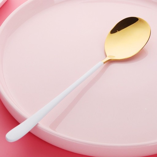 Stainless Steel Spoon with Coloured Handle