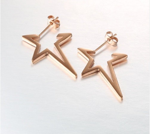 Star Shaped Earrings J2024