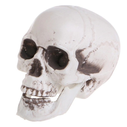 Statuetka czaszki