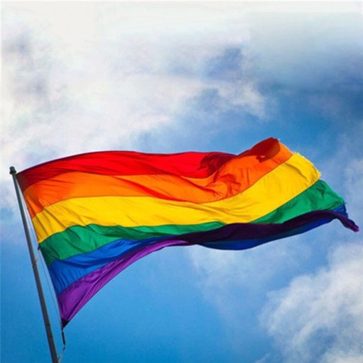 Steagul LGBT
