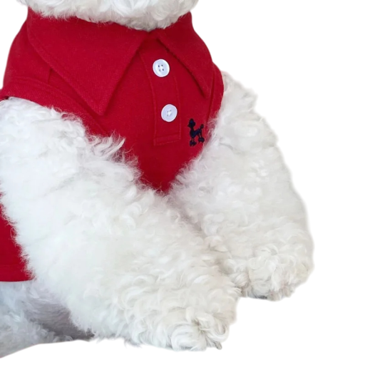 Stijlvol hondenshirt voor kleine en middelgrote honden van 4 - 5,5 kg Katoen Elegante kleding voor honden Licht en ademend poloshirt Comfortabele snit