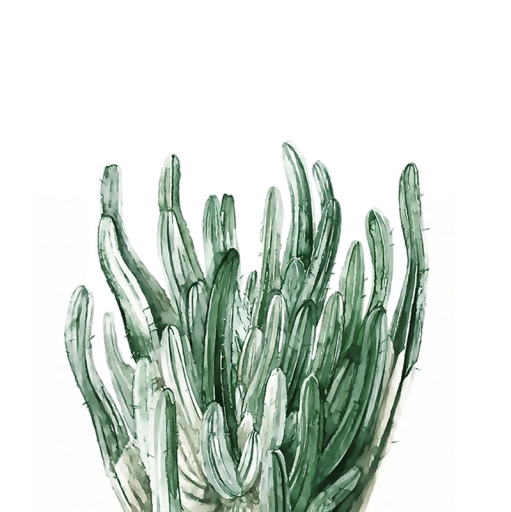 Stor botanisk plakat med kaktus 40 × 60 cm tryk på lærred grøn naturlig motiv vægdekoration til indretning uden ramme