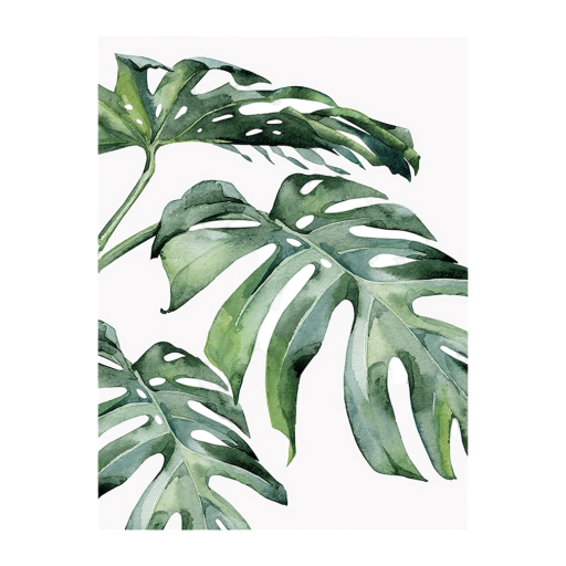 Stor vægplakat med monstera blade tropisk naturligt motiv 30 × 40 cm tryk på lærred grønne nuancer uden ramme dekoration