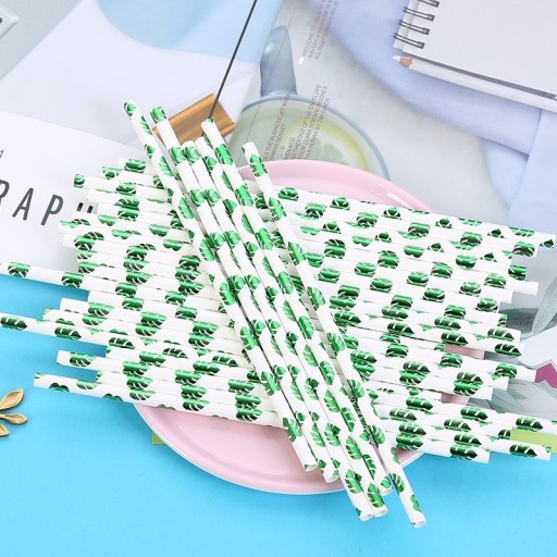 Straws de papel com padrão 25 un