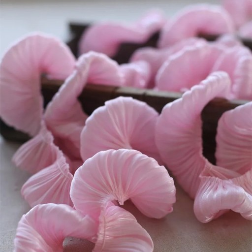 Stuha z dvouvrstvého skládaného volánku 5 cm dĺžka 91 cm Viskóza nylon dekoratívna volánková páska Ozdobný lem na šitie a tvorenie