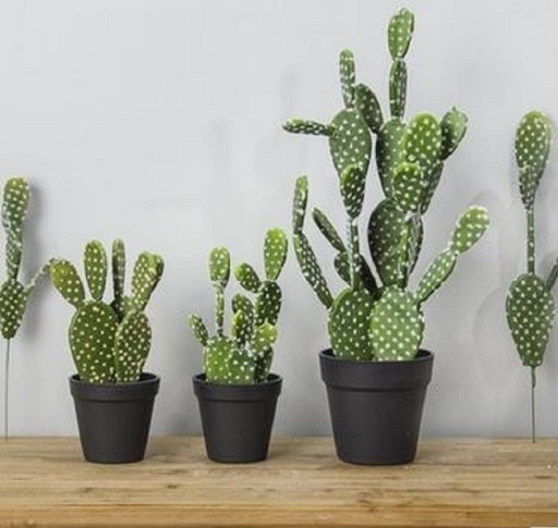 Sukulentto artificiale decorativo