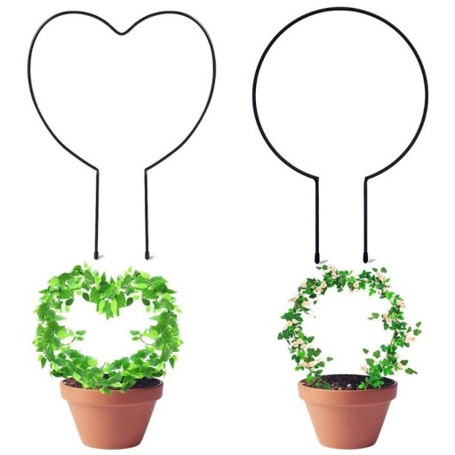 Support de piquetage pour plantes grimpantes