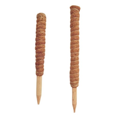 Supporto in fibra di cocco per piante